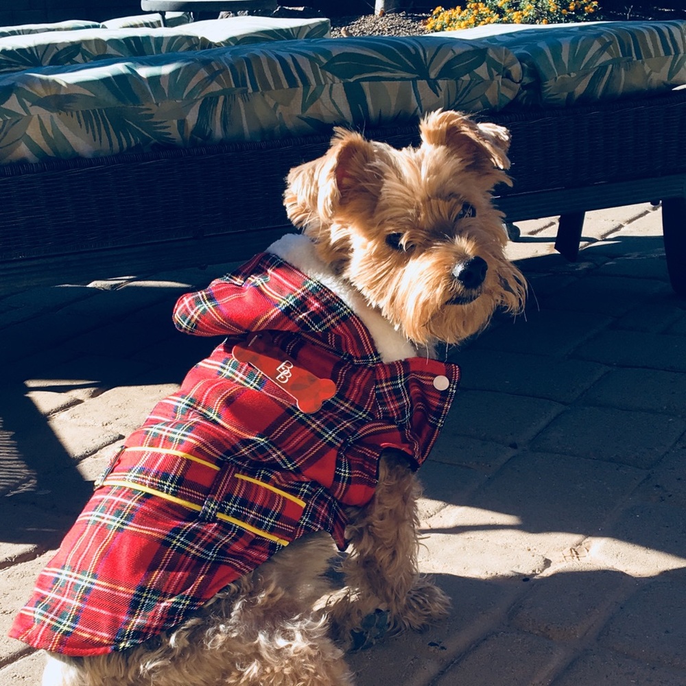 Meet your Posher, Koko